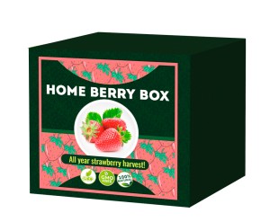 Home Berry Box, prezzo, funziona, recensioni, opinioni, forum, Italia 2020
