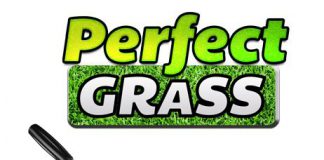 Perfect Grass, prezzo, funziona, recensioni, opinioni, forum, Italia 2020