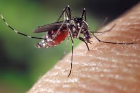 Mosquito Block - controindicazioni - effetti collaterali